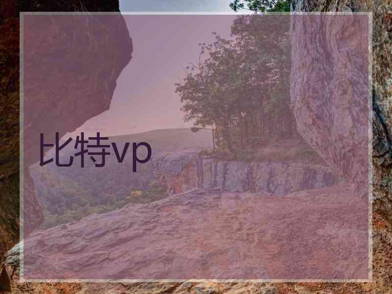 比特vp