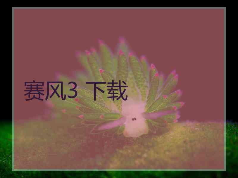 赛风3 下载
