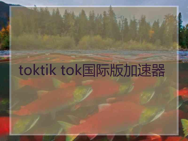 toktik tok国际版加速器