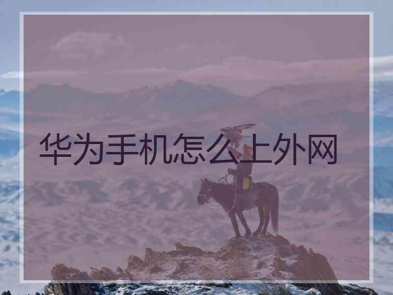 华为手机怎么上外网