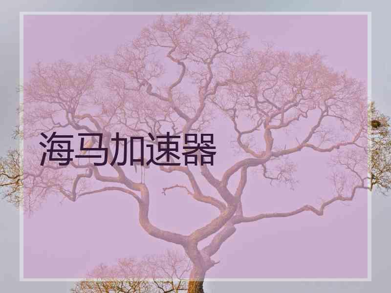 海马加速器