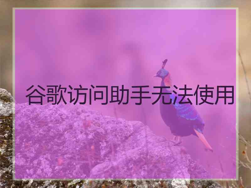谷歌访问助手无法使用