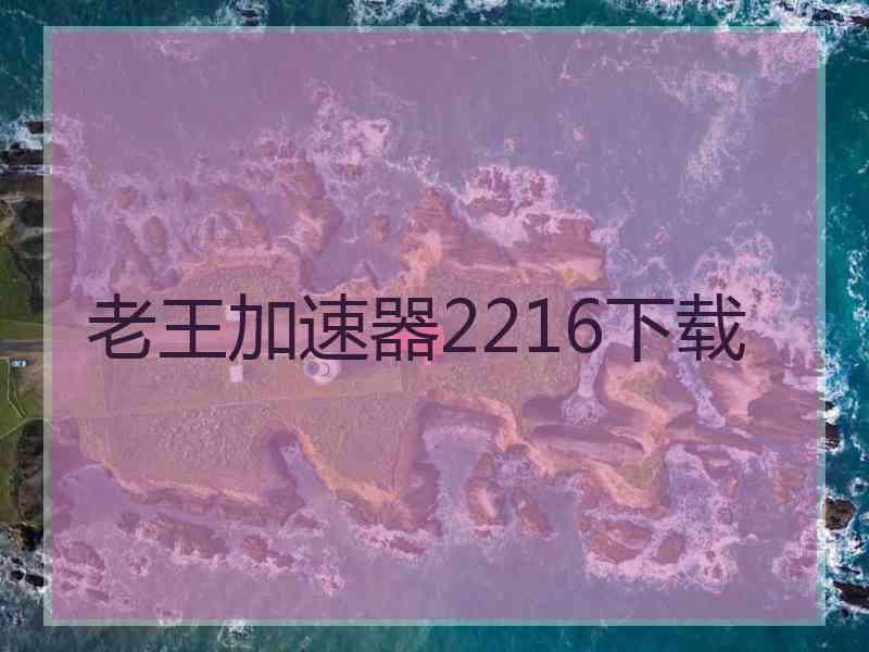 老王加速器2216下载