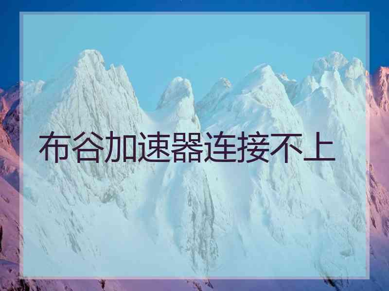 布谷加速器连接不上
