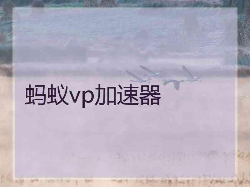 蚂蚁vp加速器