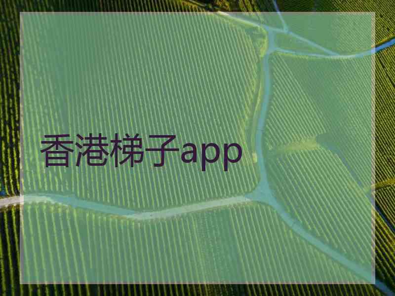 香港梯子app