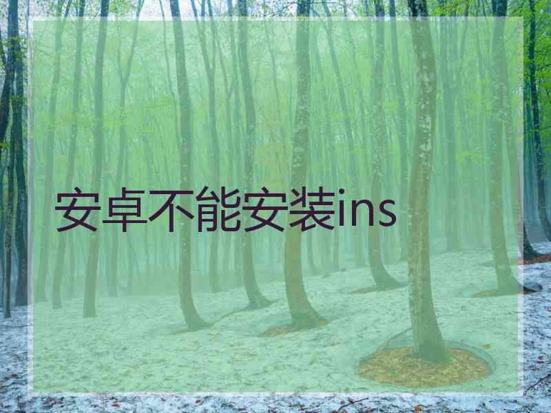 安卓不能安装ins