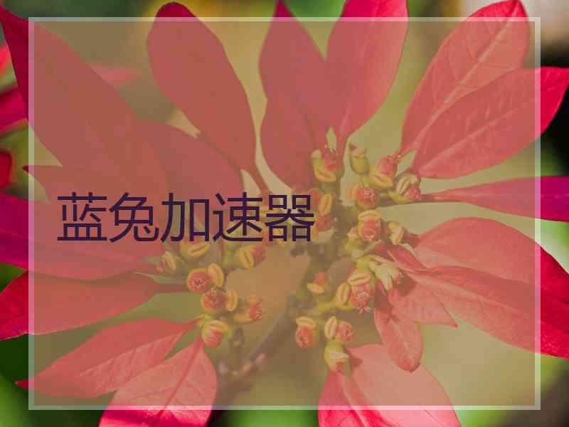 蓝兔加速器