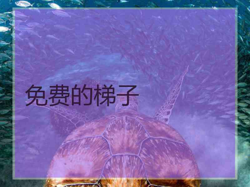 免费的梯子
