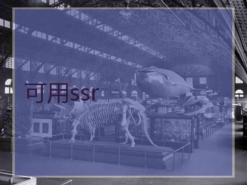 可用ssr