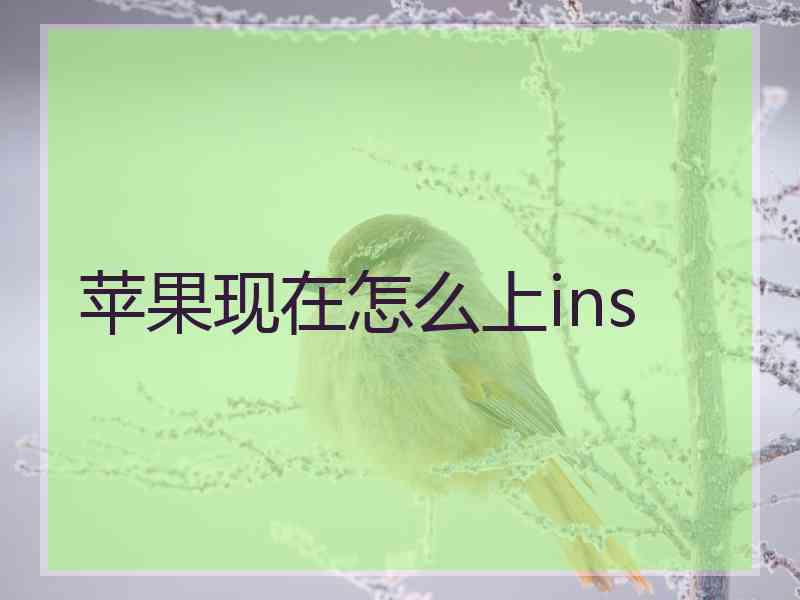 苹果现在怎么上ins