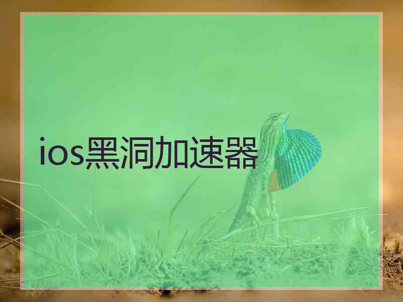 ios黑洞加速器