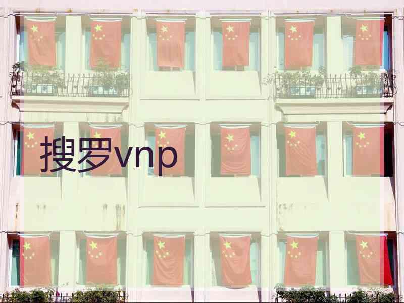 搜罗vnp
