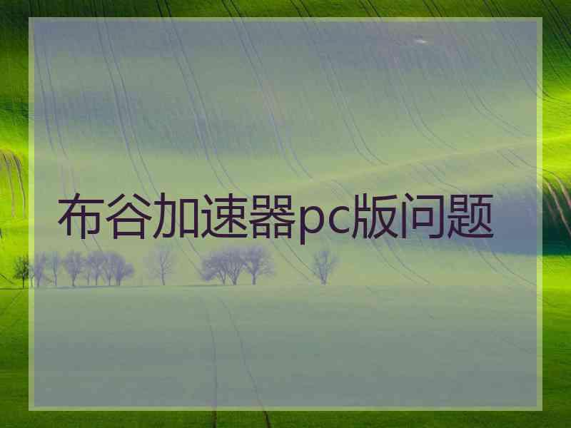 布谷加速器pc版问题