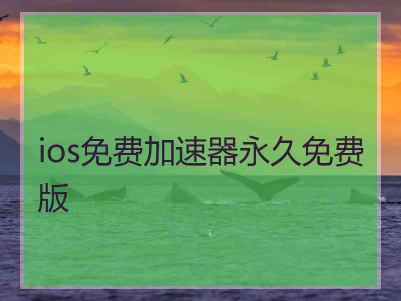 ios免费加速器永久免费版