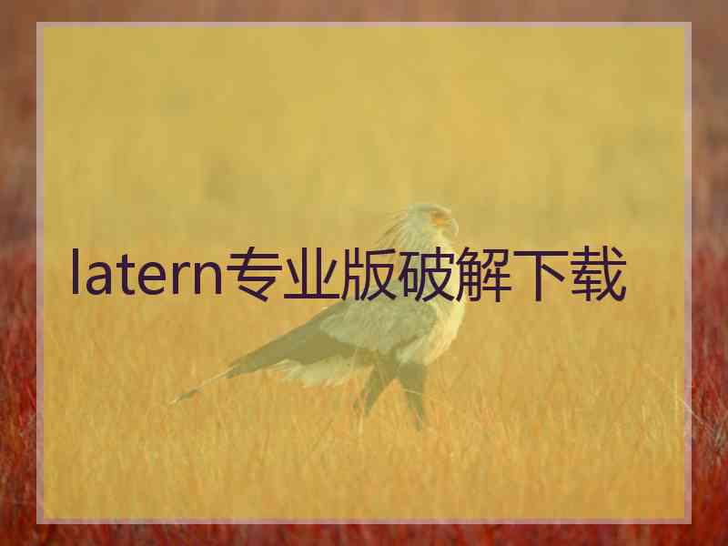 latern专业版破解下载