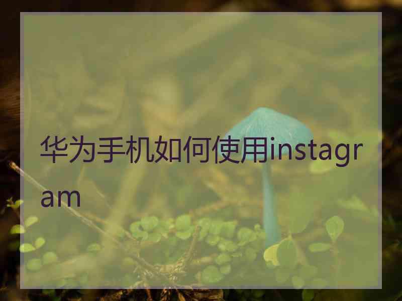 华为手机如何使用instagram