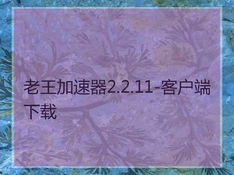 老王加速器2.2.11-客户端下载