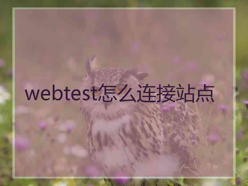 webtest怎么连接站点