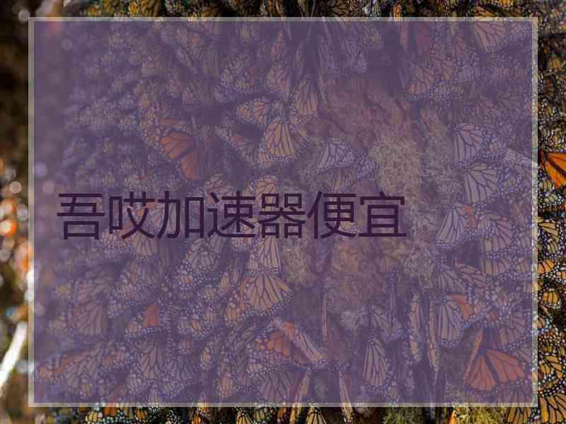 吾哎加速器便宜