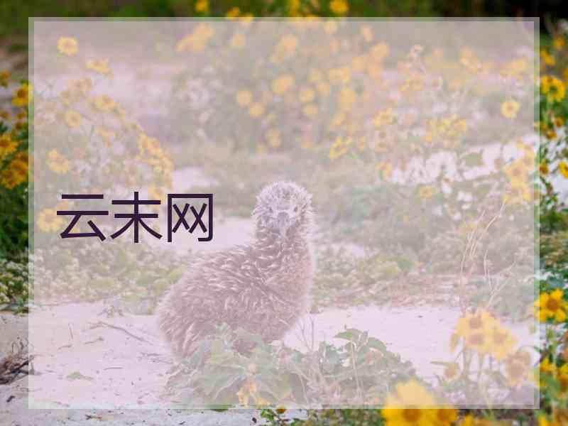 云末网