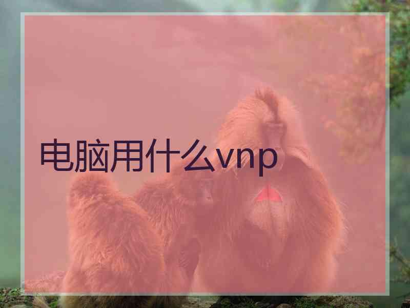 电脑用什么vnp