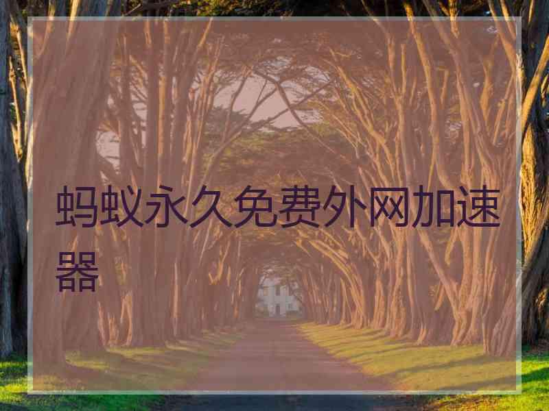 蚂蚁永久免费外网加速器