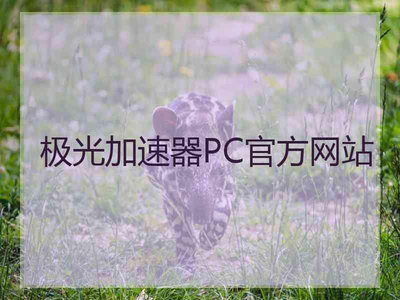 极光加速器PC官方网站
