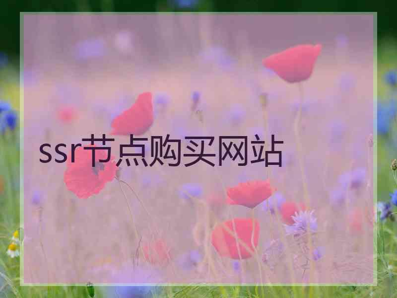 ssr节点购买网站