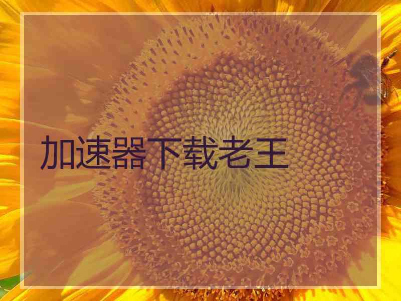 加速器下载老王