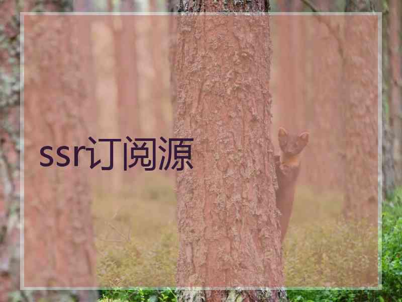 ssr订阅源