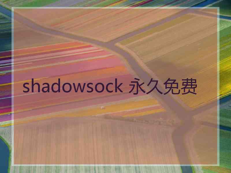shadowsock 永久免费