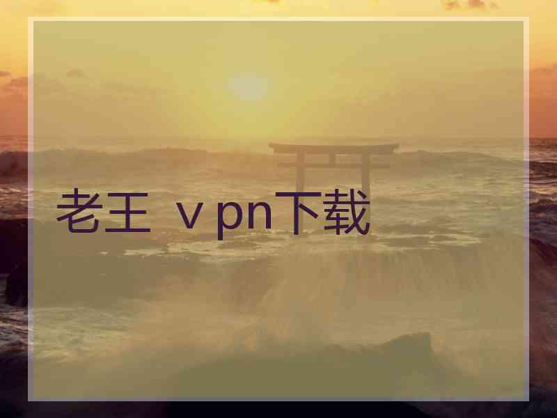 老王 ⅴpn下载