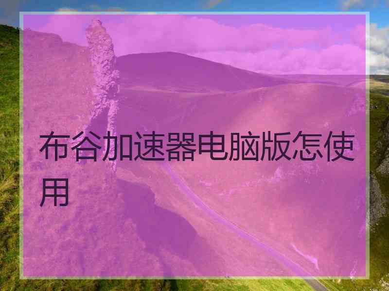 布谷加速器电脑版怎使用