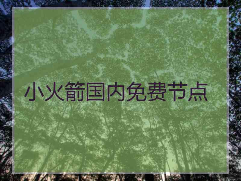 小火箭国内免费节点