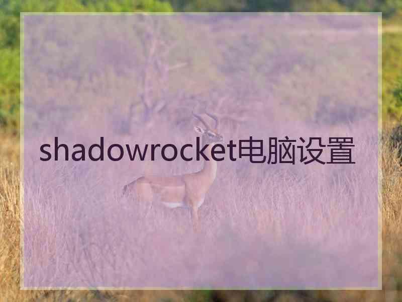 shadowrocket电脑设置