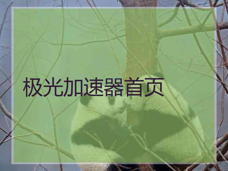 极光加速器首页