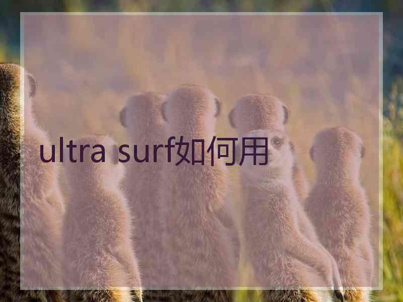ultra surf如何用