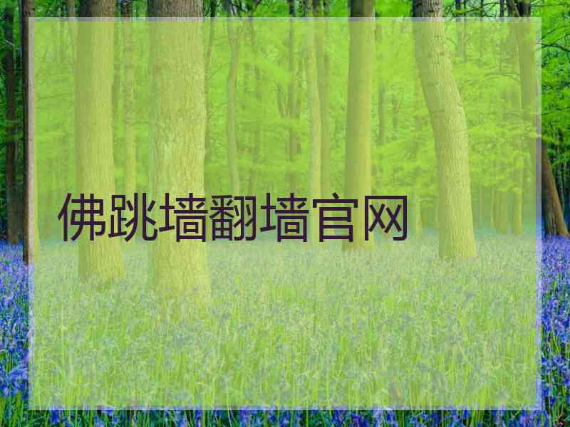 佛跳墙翻墙官网