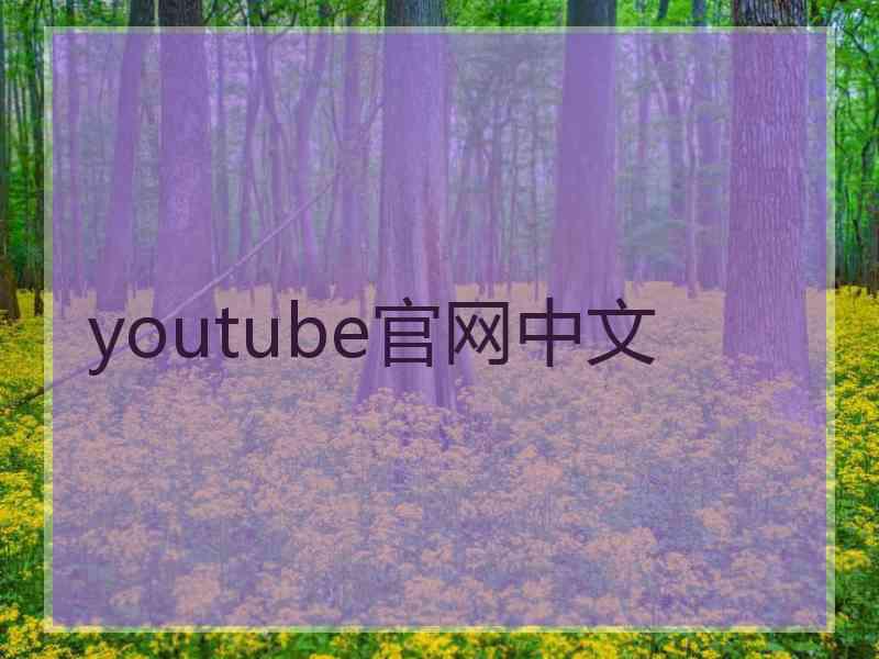 youtube官网中文