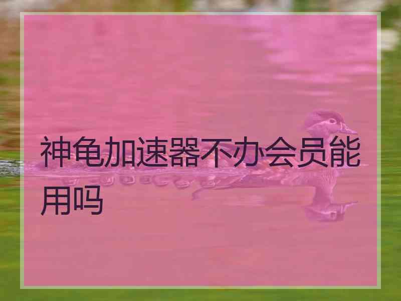 神龟加速器不办会员能用吗