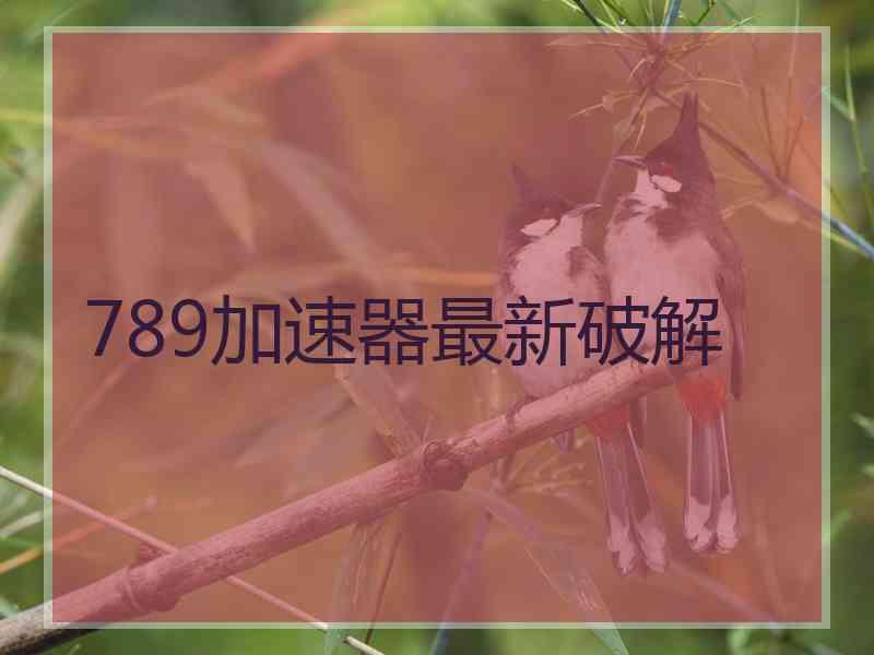 789加速器最新破解