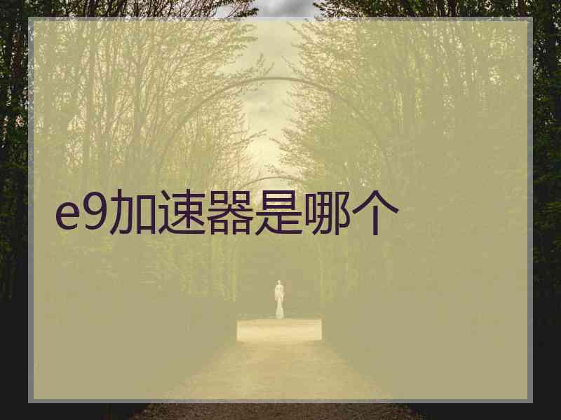 e9加速器是哪个