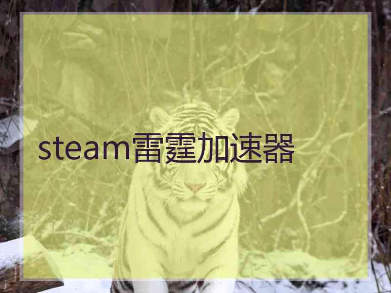 steam雷霆加速器