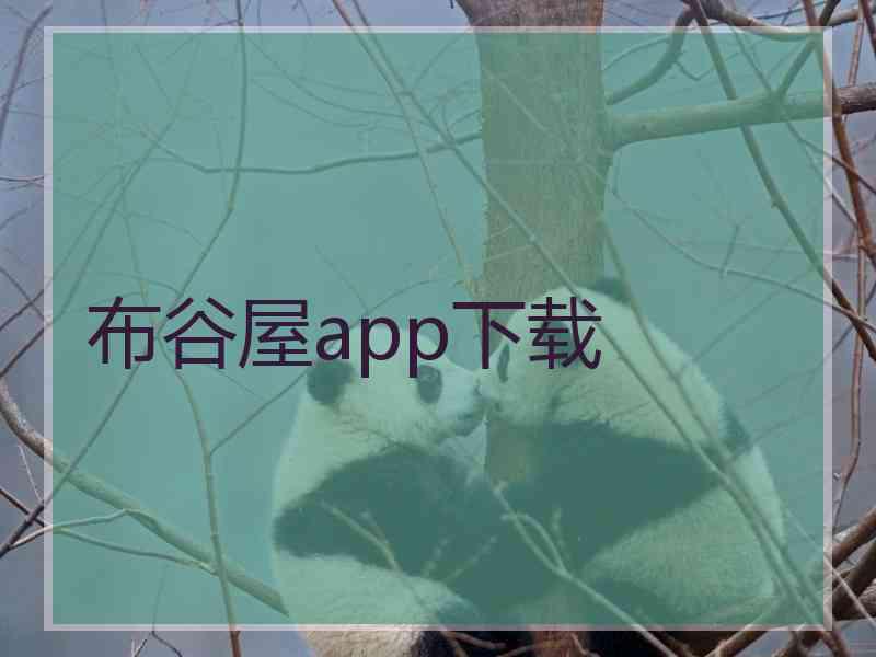 布谷屋app下载