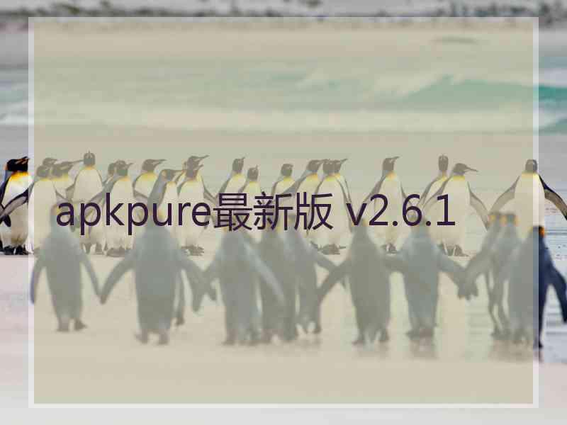 apkpure最新版 v2.6.1