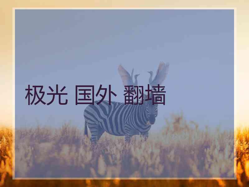 极光 国外 翻墙