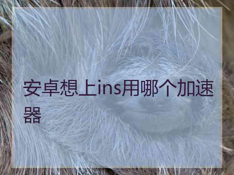 安卓想上ins用哪个加速器