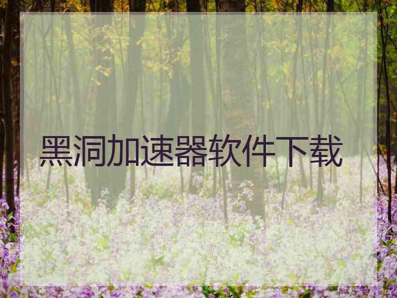 黑洞加速器软件下载