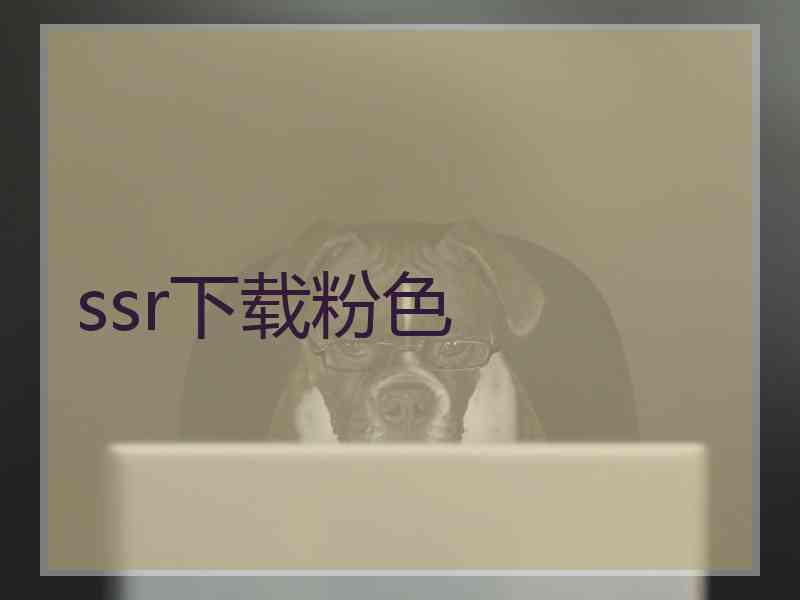 ssr下载粉色